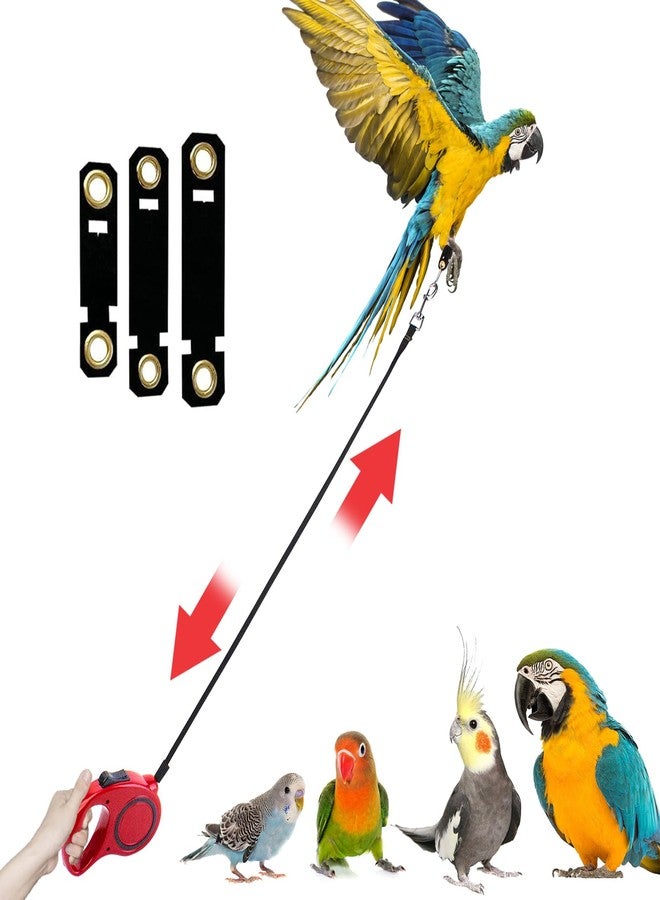 OOXYG Retractable Bird Leash, 9.8ft Anti-Bite Bird Harness, Adjustable Parrot Harness with 3 Sizes Foot Rings, Outdoor Flying Harness for Macaws, Cockatiels, Macaws, Conures, Parrot, Parakeet - Image 1